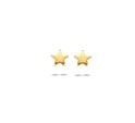 TFT Ear Studs Star Yellow Gold On Silver Shiny 4 mm x 4.5 mm