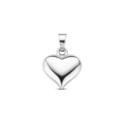 Huiscollectie 4105599 Zilverkleurig necklace with pendant