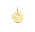 Home Collection Pendant Zodiac Sign Taurus