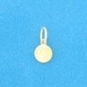 Huiscollectie 4024374 Goudkleurig necklace with pendant