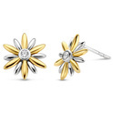 TI SENTO-Milano 7860ZY Stud earrings silver-zirconia silver- and gold-coloured 12 mm