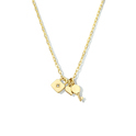 Huiscollectie 2101870 [kleur_algemeen:name] necklace with pendant