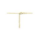 Huiscollectie 2102100 [kleur_algemeen:name] necklace with pendant