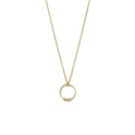 Huiscollectie 2102210 [kleur_algemeen:name] necklace with pendant