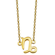 JWLS4U ZN001G Necklace Zodiac sign Capricorn silver gold colored 42-45 cm