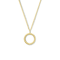 Huiscollectie 2101818 [kleur_algemeen:name] necklace with pendant