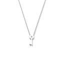 Huiscollectie 4105653 [kleur_algemeen:name] necklace with pendant