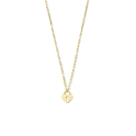 Huiscollectie 2102625 [kleur_algemeen:name] necklace with pendant