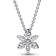 Pandora 392387C01 [kleur_algemeen:name] necklace with pendant