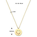 Necklace Engraving plate Round-Heart yellow gold-precious stones-diamond 0.01 ct h si 41-45 cm