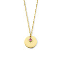 Huiscollectie 4027119 [kleur_algemeen:name] necklace with pendant
